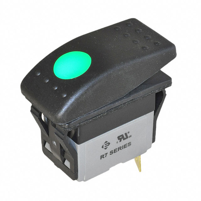 R711FF1-SXXX2BDGNW - R711FF1-SXXX2BDGNW