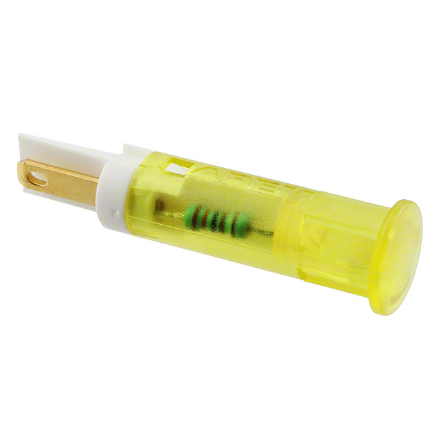 QS81XXY24 - QS81XXY24