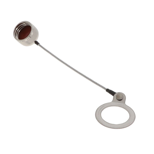 D3899933F11N - D3899933F11N