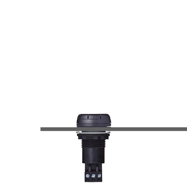 812510313 - 812510313