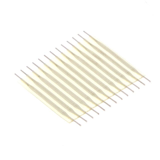 FST-21A-13 - FST-21A-13