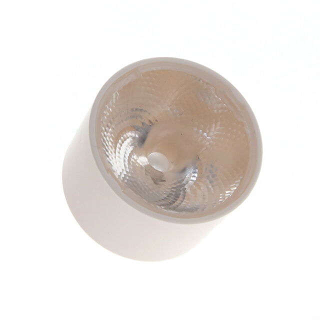 CA18484_LEILA-Y-SS-WHT - CA18484_LEILA-Y-SS-WHT