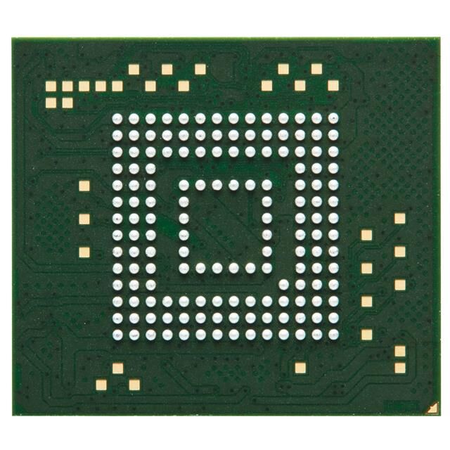 EMMC128-IY29-5B102 - EMMC128-IY29-5B101