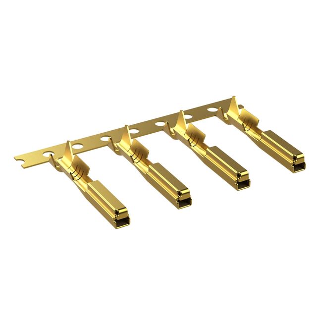 SC000572F - SC000572F