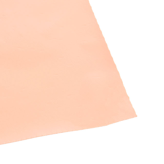 61-02-0909-HCS10G - 61-02-0909-HCS10G