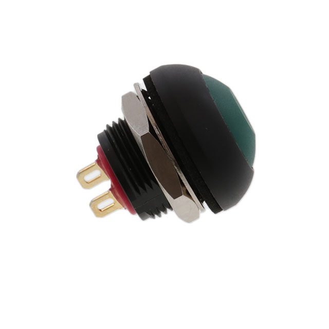 RP8100B2M1CEBLKGRNNIL - RP8100B2M1CEBLKGRNNIL