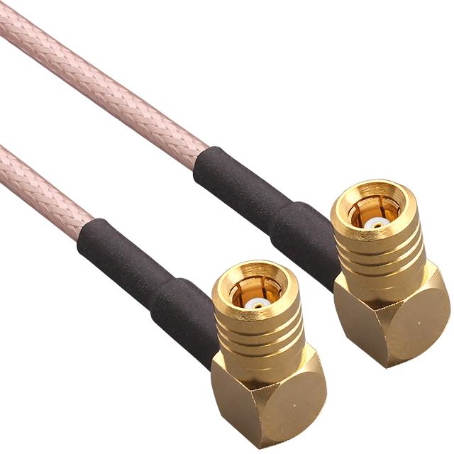 CSE-SBRM-610-SBRM - CSE-SBRM-305-SBRM