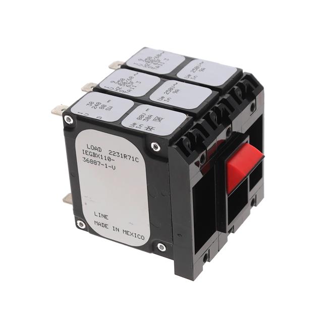 IEGBX110-36887-1-V - IEGBX110-36887-1-V