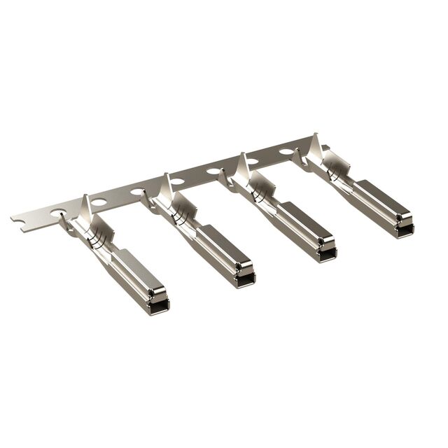 SC000572N - SC000572N