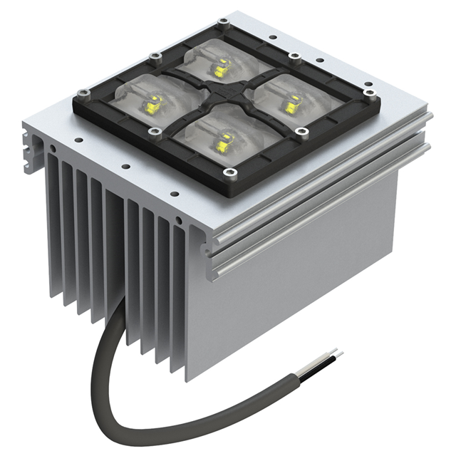 MP22T1-C24-4070-WW-1-00 - MP22T1-C24-2780-M-1-00