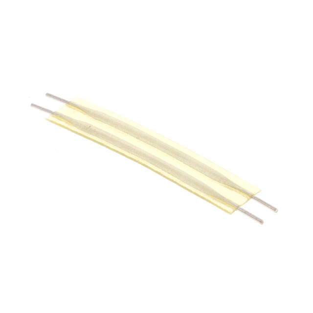 FST-21A-2 - FST-21A-2