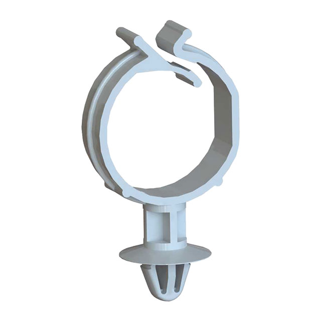 SCCB-2-19 - SCCB-x-01