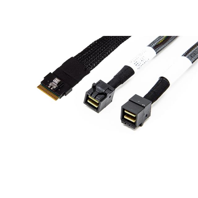 AMPH-SAS-SL8-43X2-050 - AMPH-SAS-SL8-43X2-050