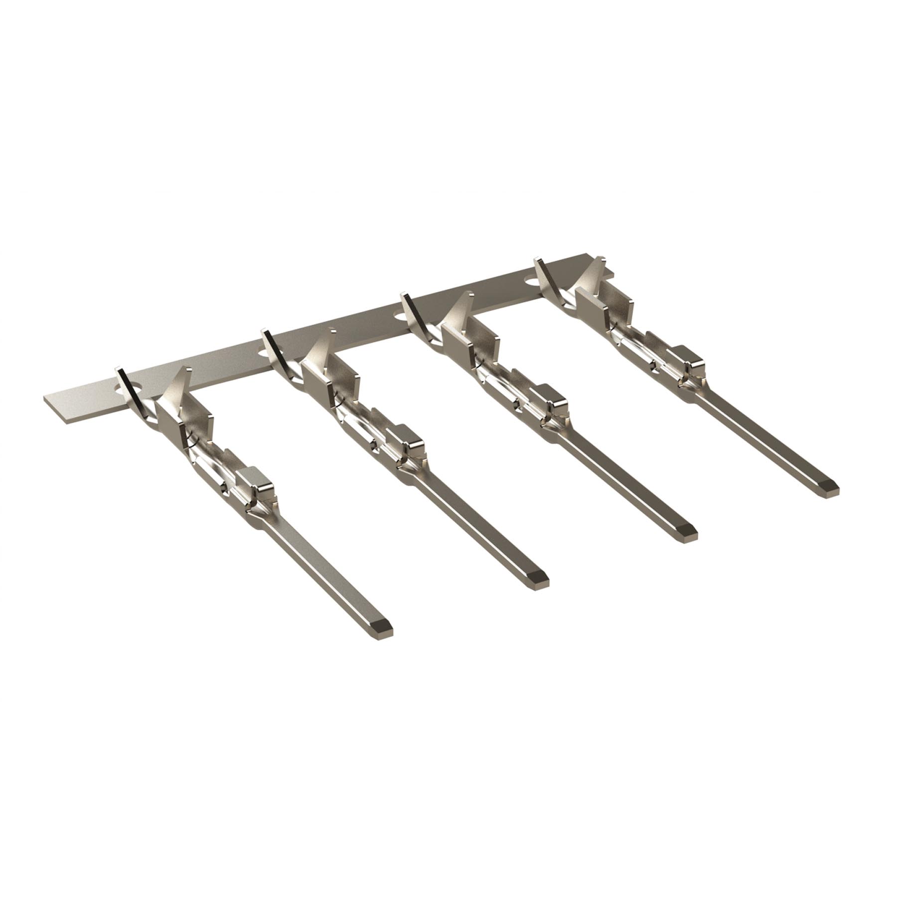 SC000571N - SC000571N