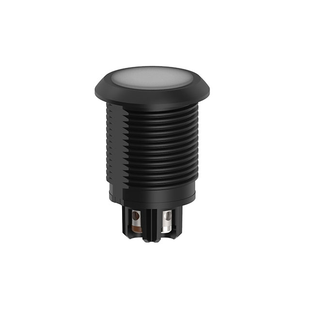 S22L2SRGB14T - S22L2SRGB14T